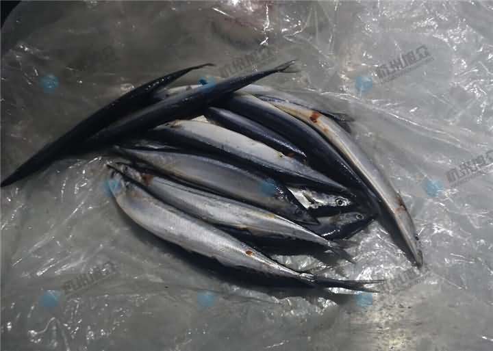 5e53437289e1e.jpg QQ圖片20200224112648.jpg