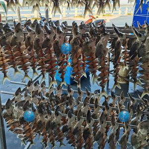 客戶兩臺雙高效烘干房，烘金昌魚安裝完成！