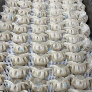 JGB-10型一體式餃子機現(xiàn)場試機，效果棒棒噠！?。?！